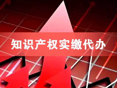 增城知识产权实缴资本代办